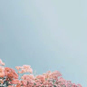 Meet your Posher, Laila._.